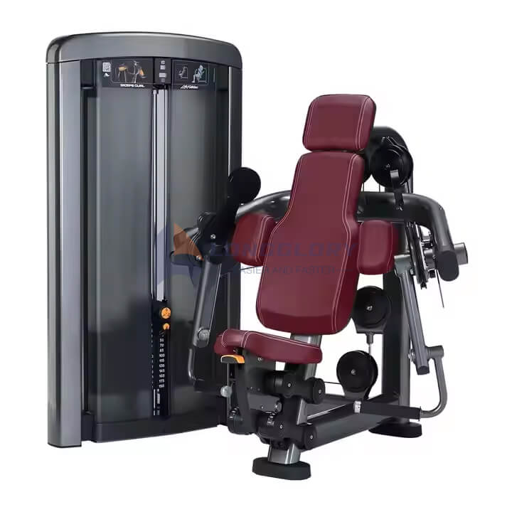Biceps Curl a Triceps Machine
