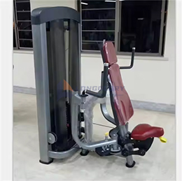 Pectorral Fly Gym Machine